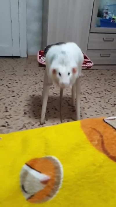 big jump