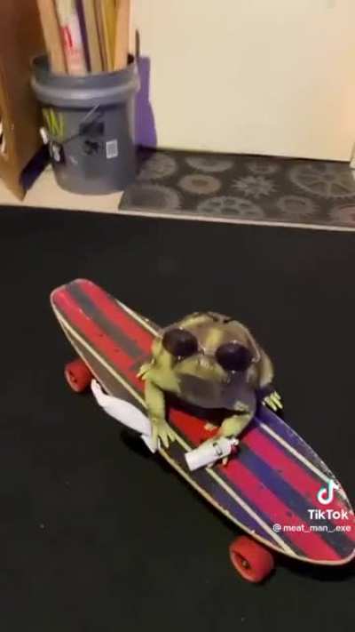 Frog