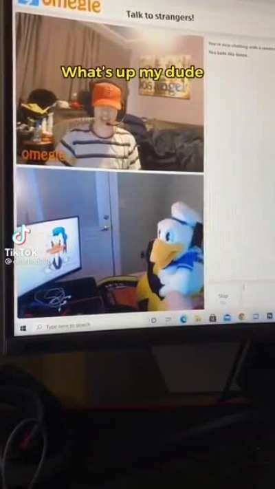 Donald Duck