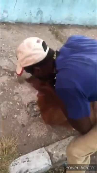 Guy saves goat
