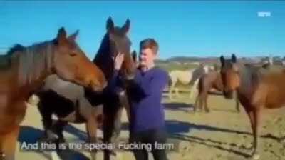Fucking meme
