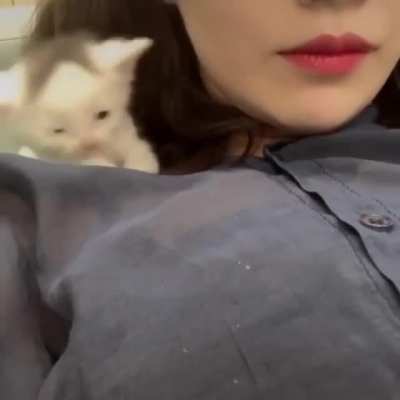 Kitten kisses.