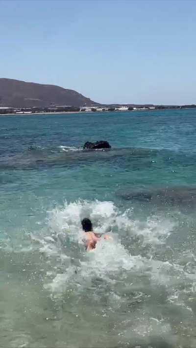 Really love to swimming 🌊