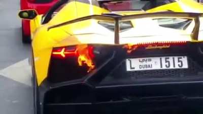 Nice Lamborghini