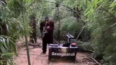 In a Post-2020 World, we all could use a little more SaxSquatch in our life.
