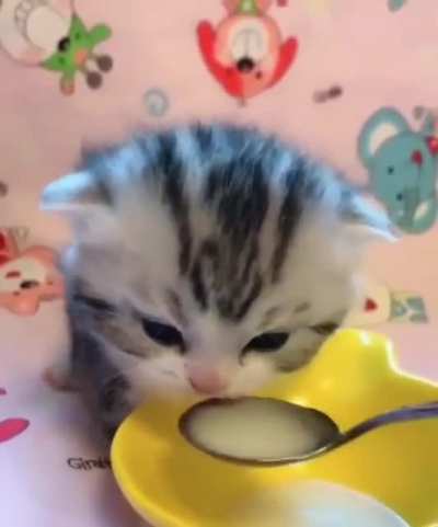 Boa noite galerinha