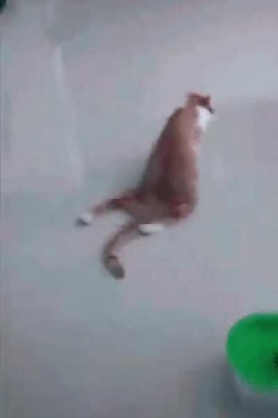 run