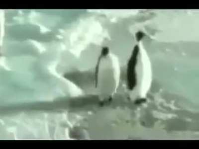 Pengin 