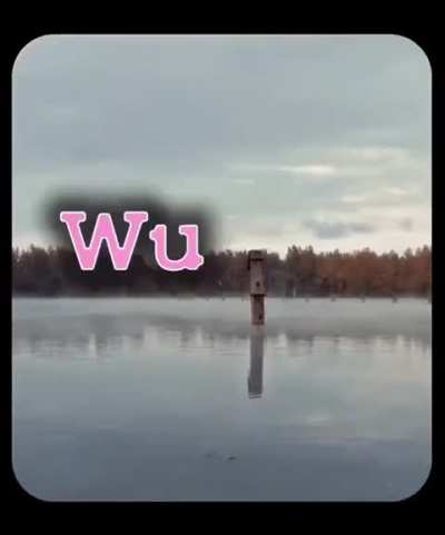 Wiwiwi