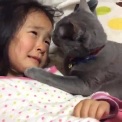 touch tha hooman .