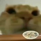 TASTY!!!!!!!!!!!!!!