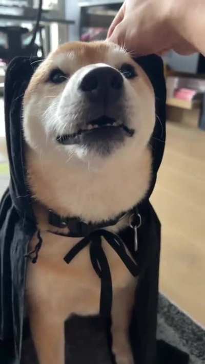 Avada kedavra