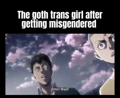 Reiner reference 