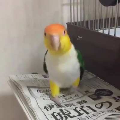 Got better moves than I do