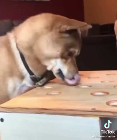 He was not happy