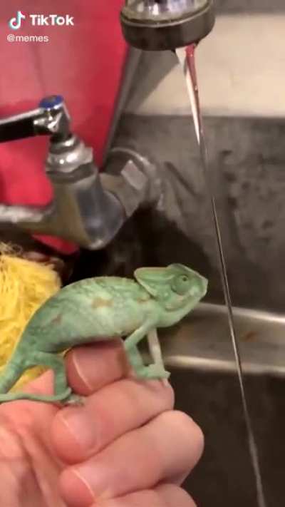 He just wants a little drink