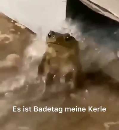 ich_iel