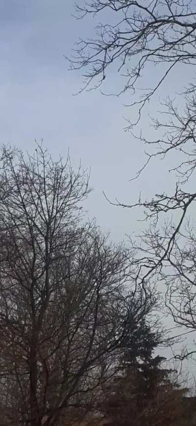 Strong solo winds gusting this morning.💯💯💯💨💨💨