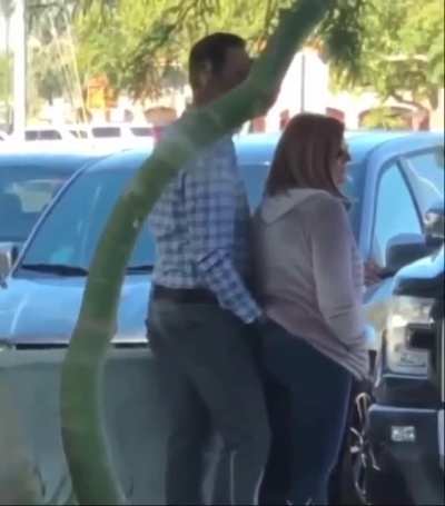 Cursed_Crack Addict