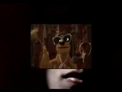 wow wow waka wow wow waka waka waka