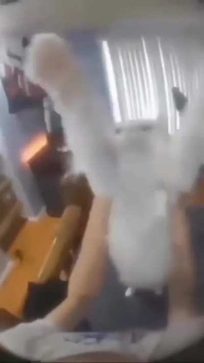 wordington dance (awww)