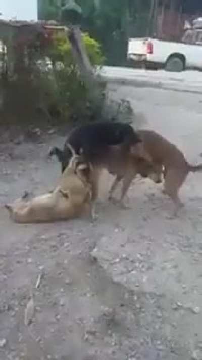 Stop filming us