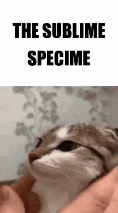 SPECIME