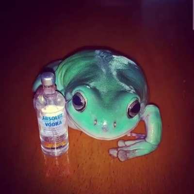 Frogged