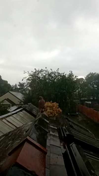 Heavy rain in UK