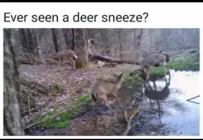 Poor dude must have been holding that one in