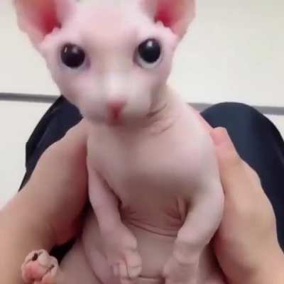 Me