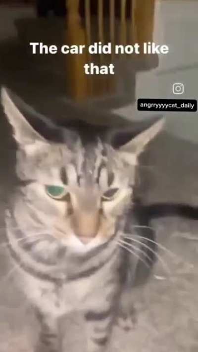 wunk has had enough of the mocking