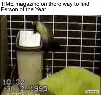 why are they like this...