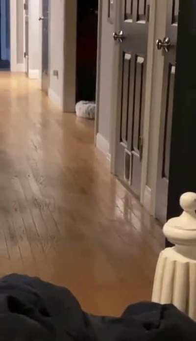 Стиль не пропь<wbr>ёшь