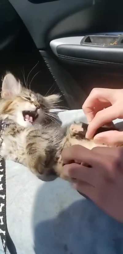 Foot Massage
