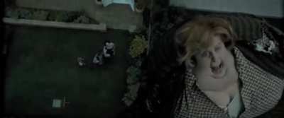 Harry Potter and the Nuclear Wasteland