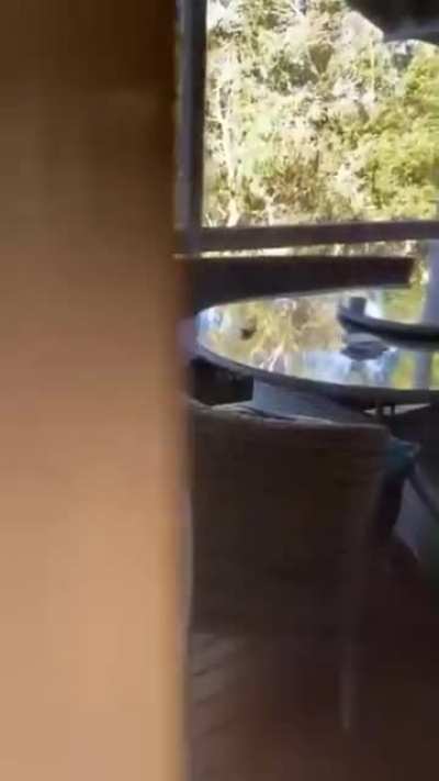 Not sure if it was the man or the bird