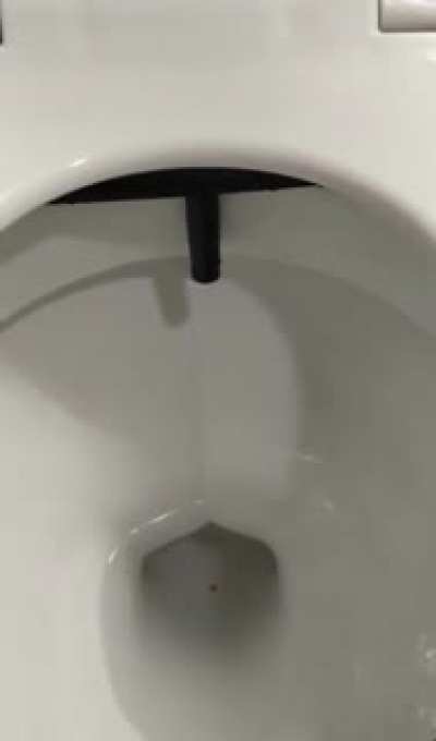 Idk what to title this and it shouldn’t really matter anyways