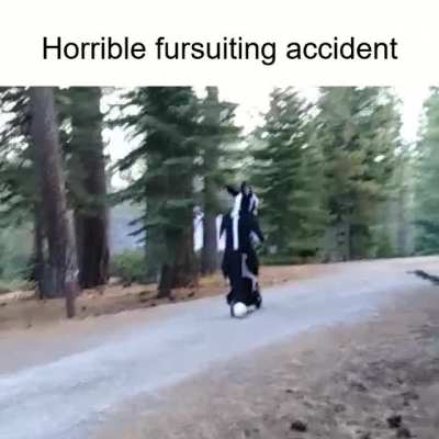 furry_irl