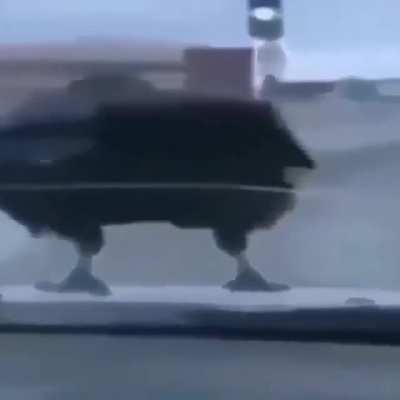 '- ')