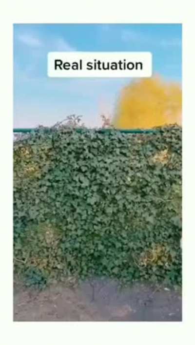 Трени<wbr>ровка vs реаль<wbr>ная жизнь