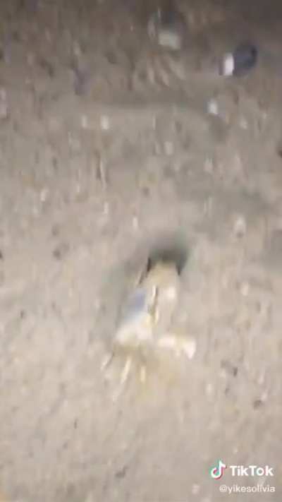 Pocket sand!