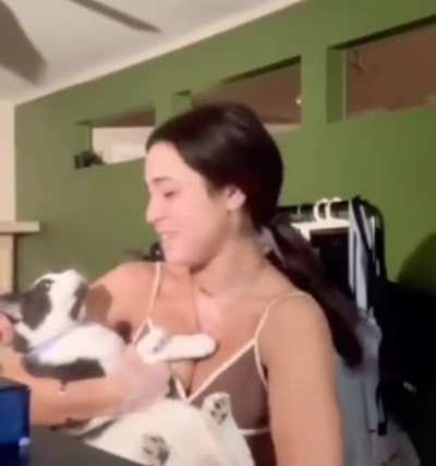 copy cat