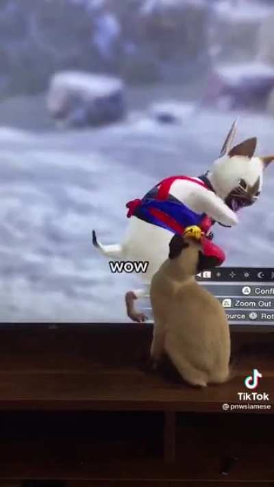 Extremamente Fofo