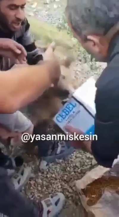 Rescuing a stucked bear