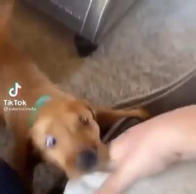 Aaa-