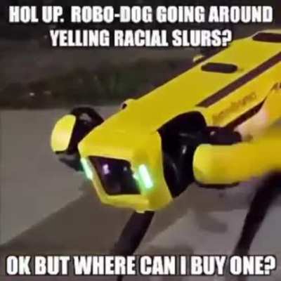 Robo cops