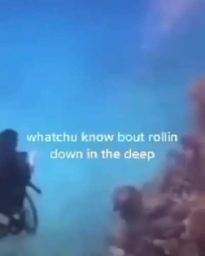 watchu kno