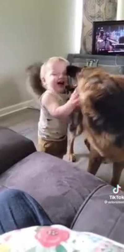 Baby vs dog