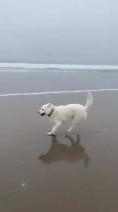 Wait for it...